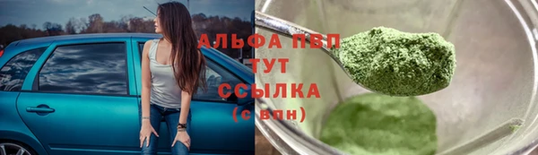 мескалин Богданович