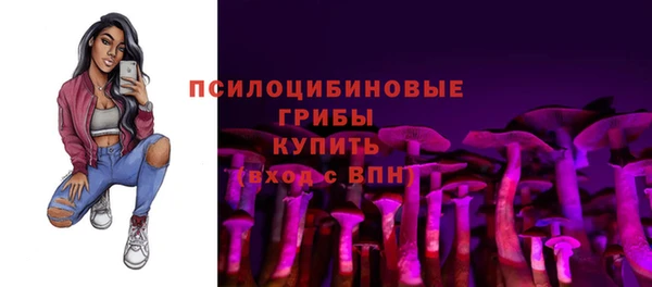 скорость Богородицк